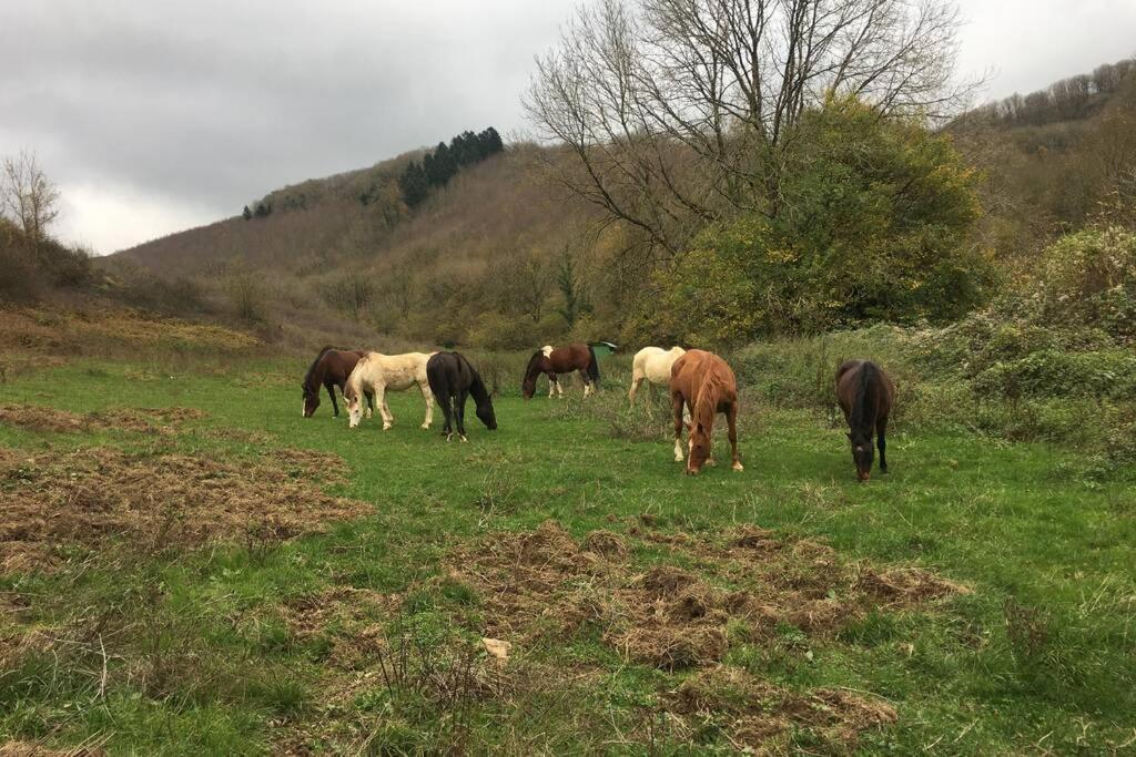 Le Hameau De Sylvanes Zewnętrze zdjęcie
